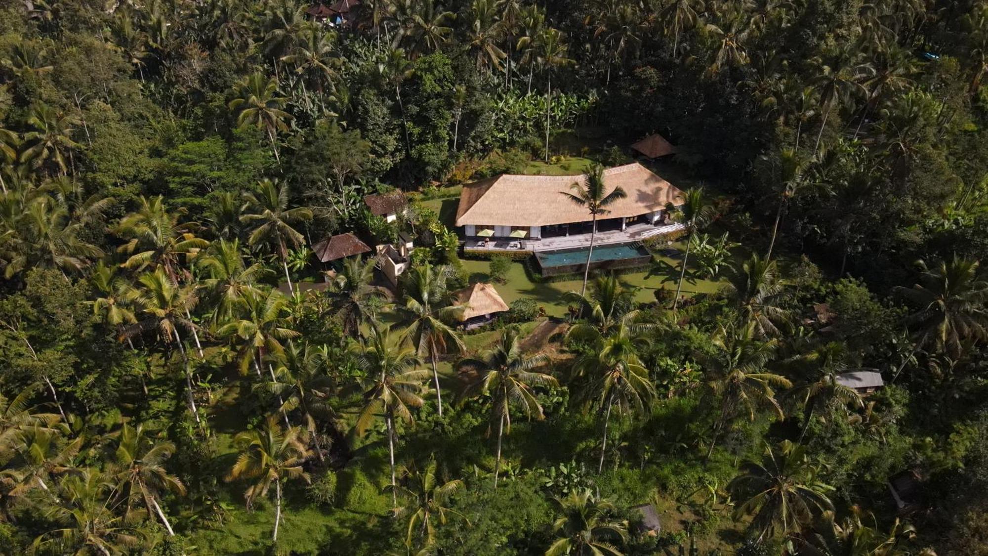 Villa Themma Jungle - Sumptuous 3Br Luxury Villa With Majestic Jungle View North Of Ubud Extérieur photo