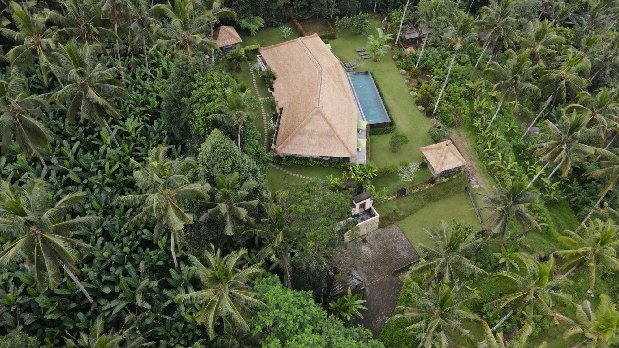 Villa Themma Jungle - Sumptuous 3Br Luxury Villa With Majestic Jungle View North Of Ubud Extérieur photo