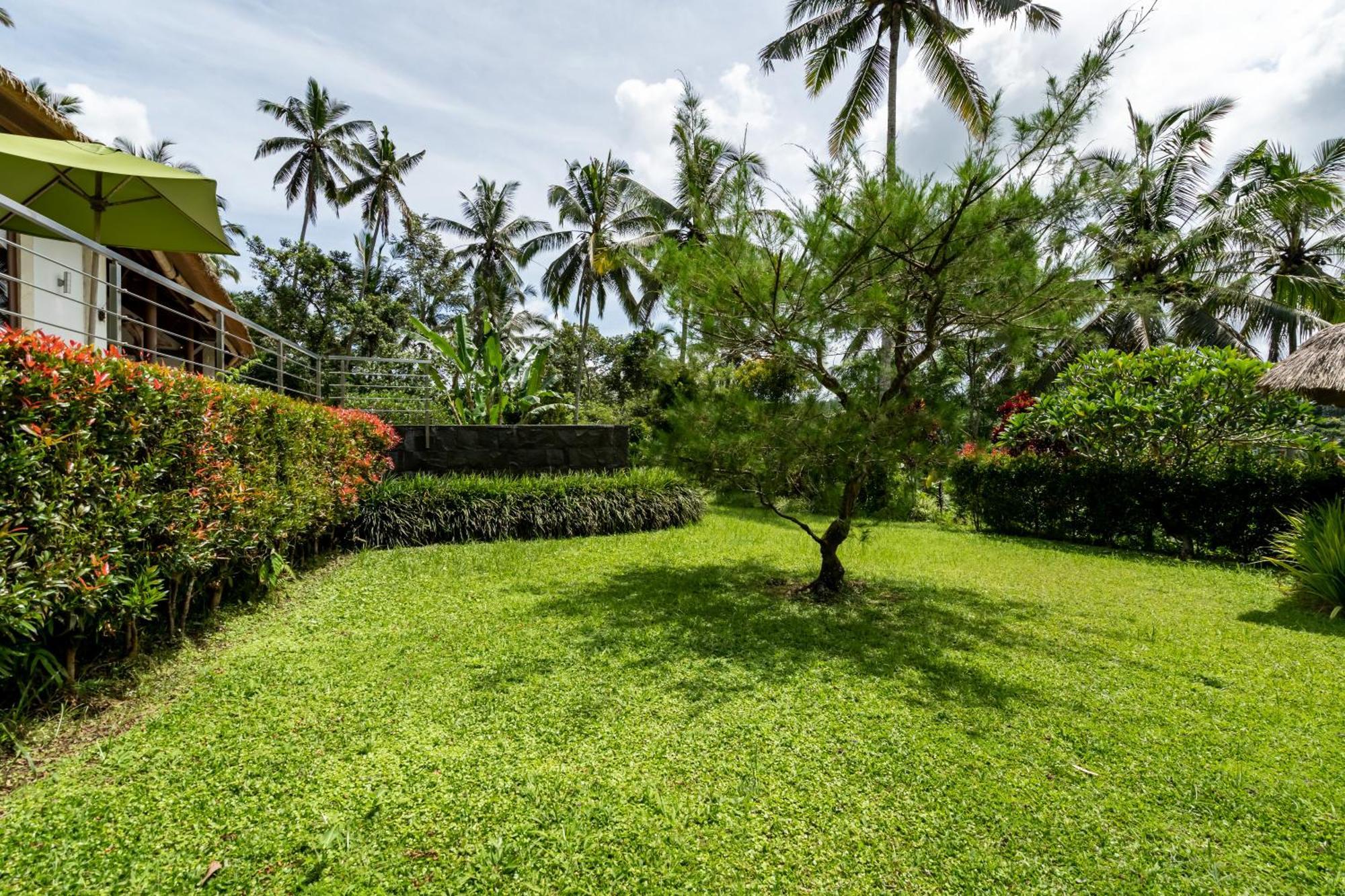 Villa Themma Jungle - Sumptuous 3Br Luxury Villa With Majestic Jungle View North Of Ubud Extérieur photo