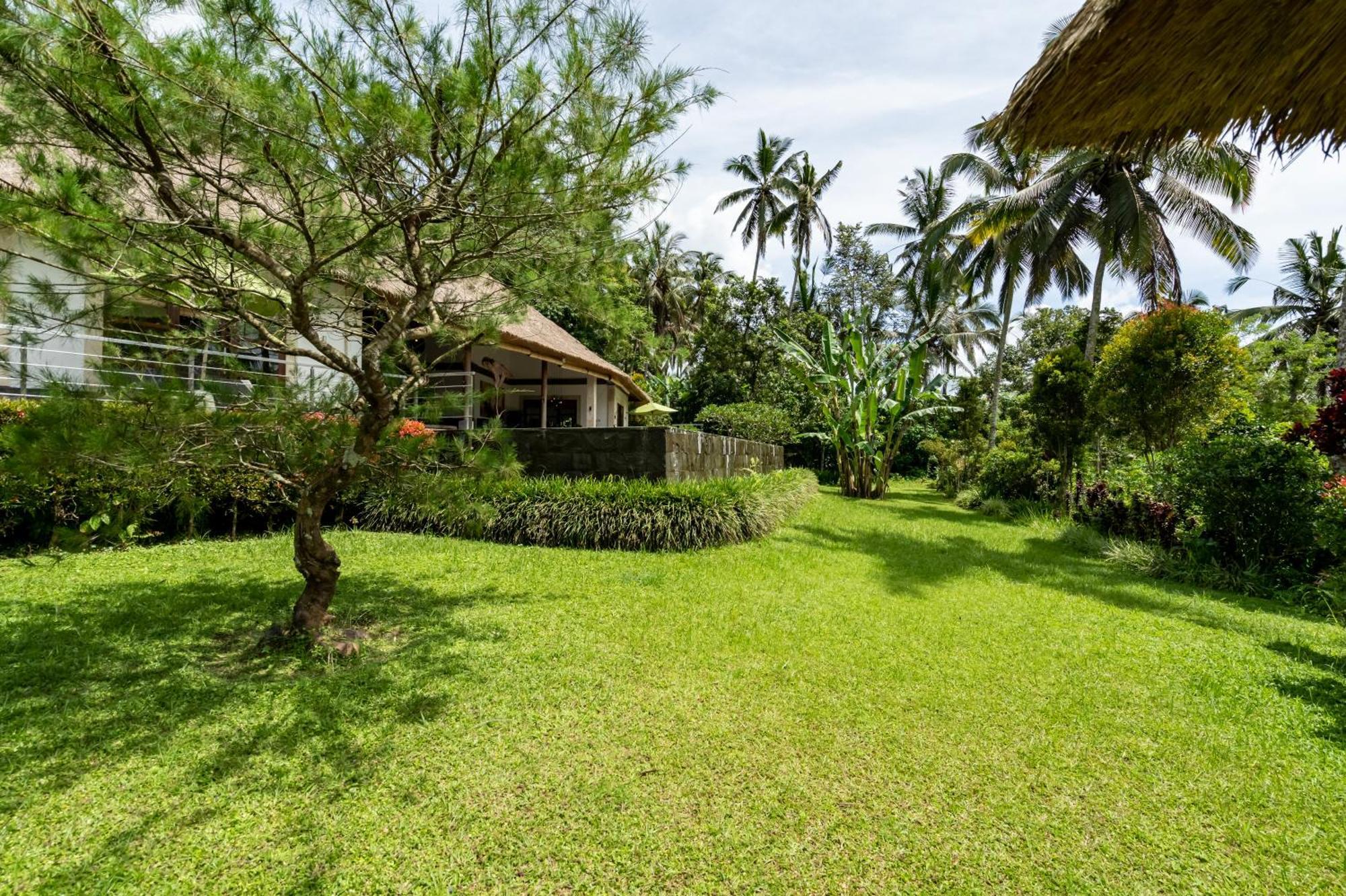 Villa Themma Jungle - Sumptuous 3Br Luxury Villa With Majestic Jungle View North Of Ubud Extérieur photo
